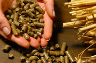 free Anaheilt biomass boiler quotes