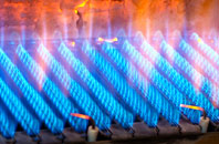 Anaheilt gas fired boilers